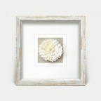 Sola-Blume-Wanddeko mit weiß-goldenem Rahmen