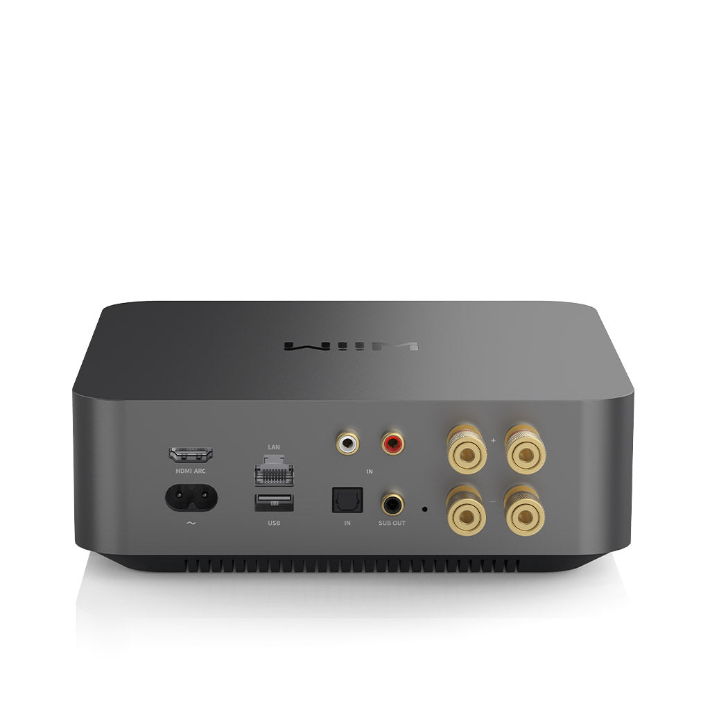 Wiim Amp Pro - Streaming Amplifier