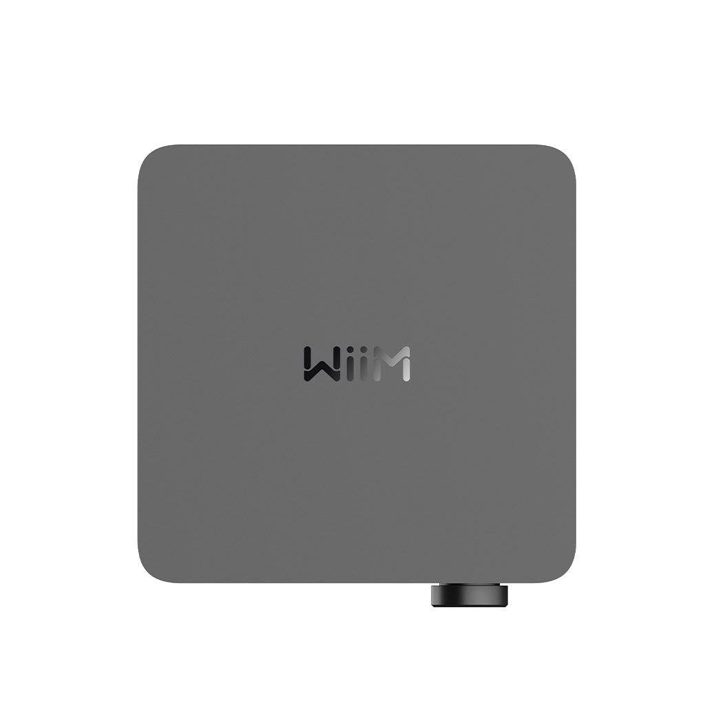 Wiim Amp Ultra - Streaming Amplifier
